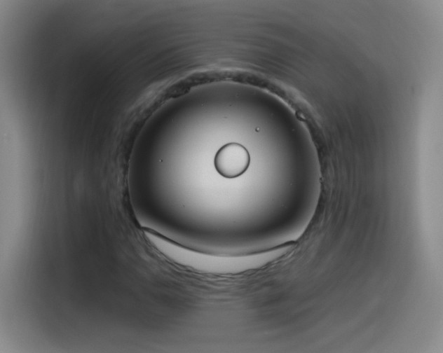 X0000114541110200910191336