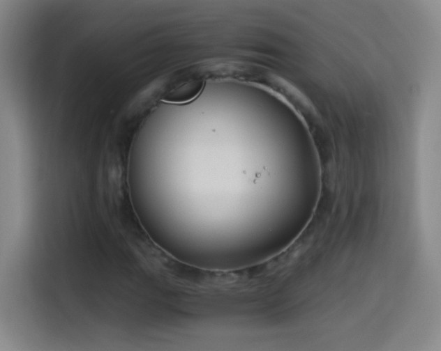 X0000114541111200910191336