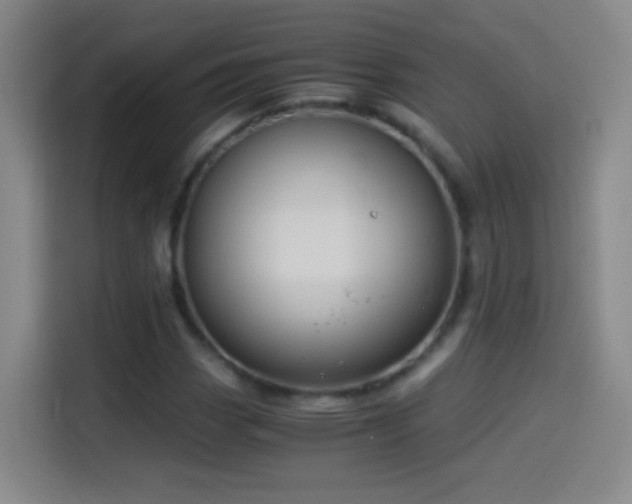 X0000114541113200910191336