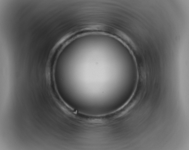 X0000114541114200910191336