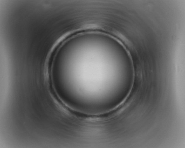 X0000114541118200910191336