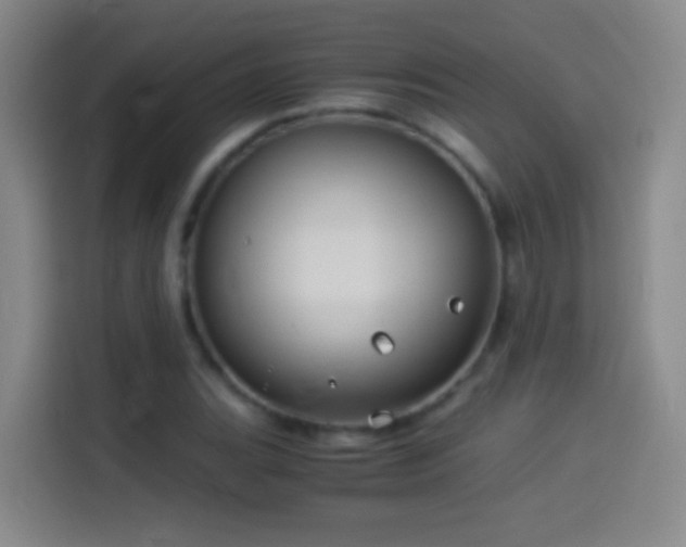 X0000114541119200910191336