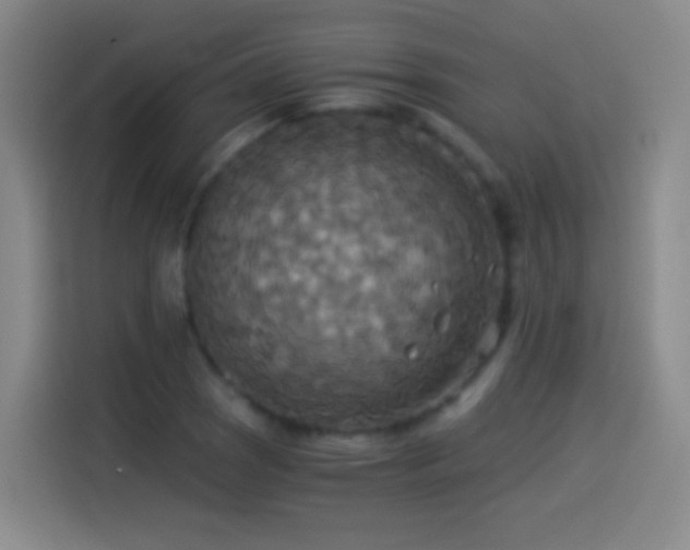 X0000114541121200910191336