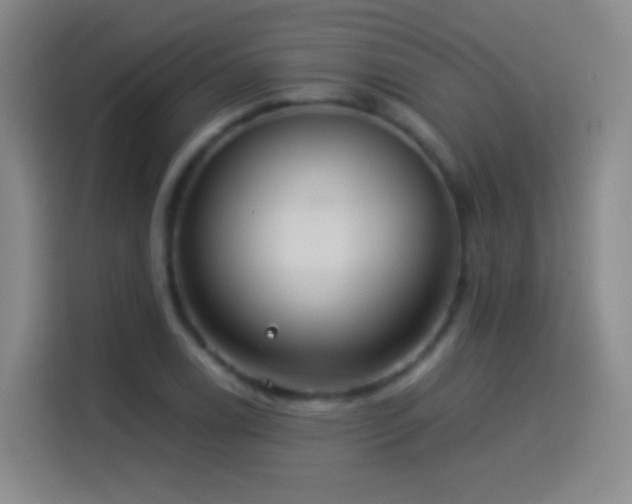 X0000114541122200910191336