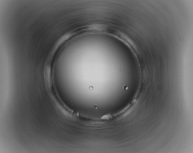 X0000114541123200910191336