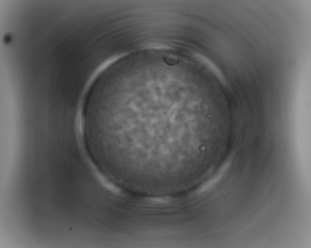 X0000114541125200910191336