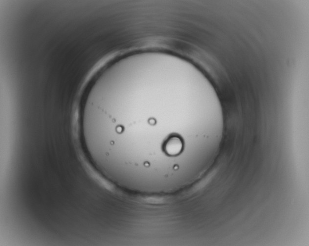 X0000114541126200910191336