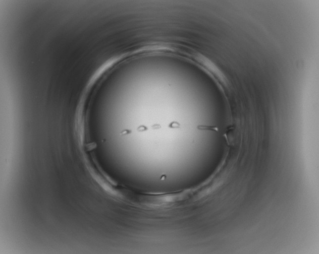 X0000114541127200910191336