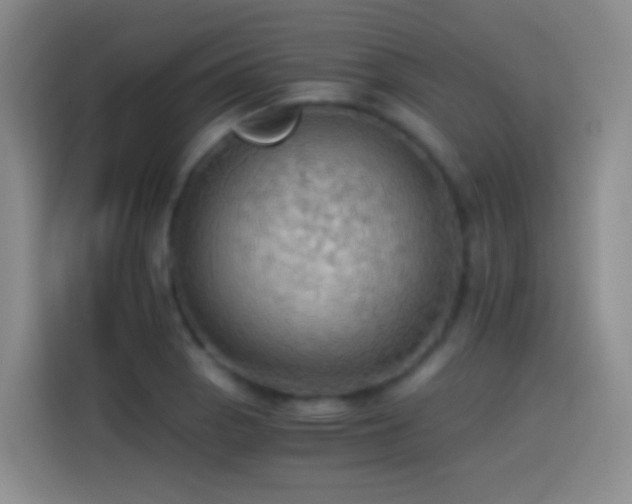 X0000114541129200910191336