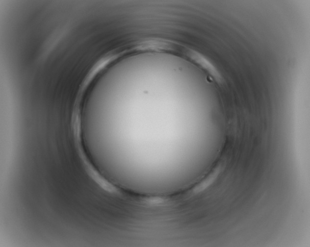 X0000114541130200910191336