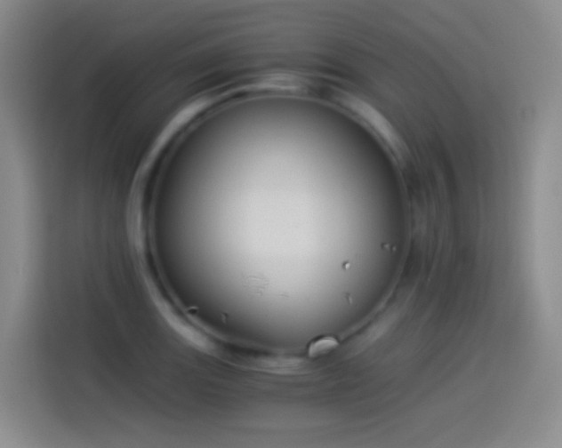 X0000114541131200910191336