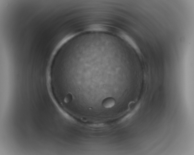 X0000114541133200910191336