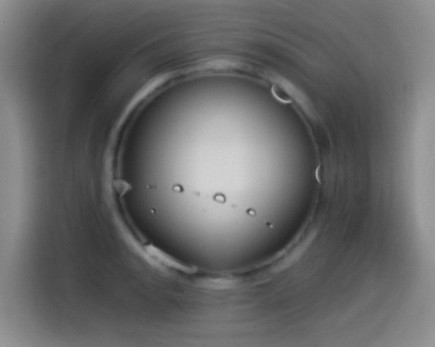 X0000114541134200910191336