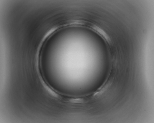 X0000114541135200910191336