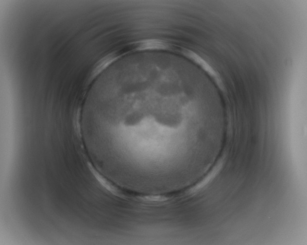 X0000114541137200910191336