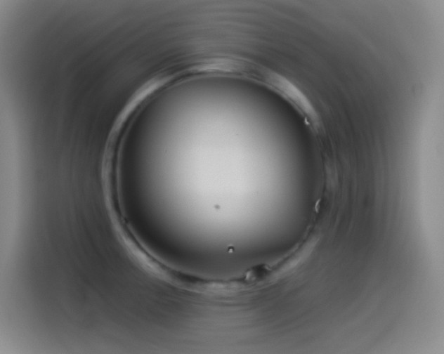 X0000114541138200910191336