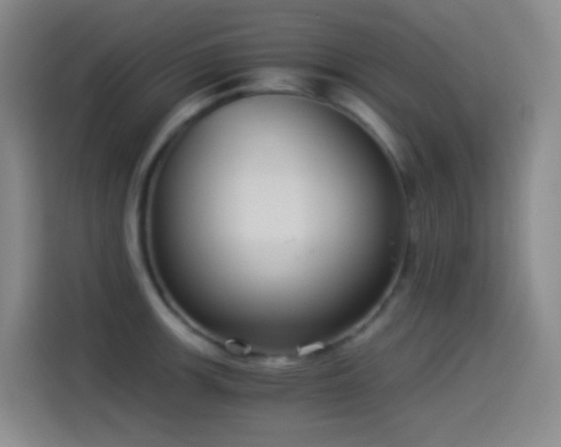 X0000114541139200910191336