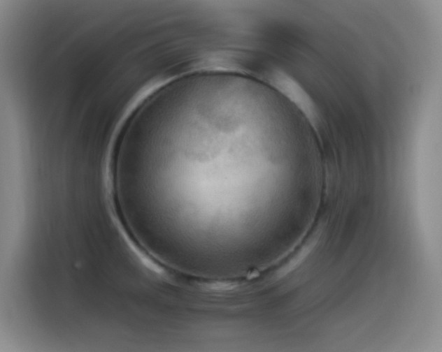 X0000114541141200910191336