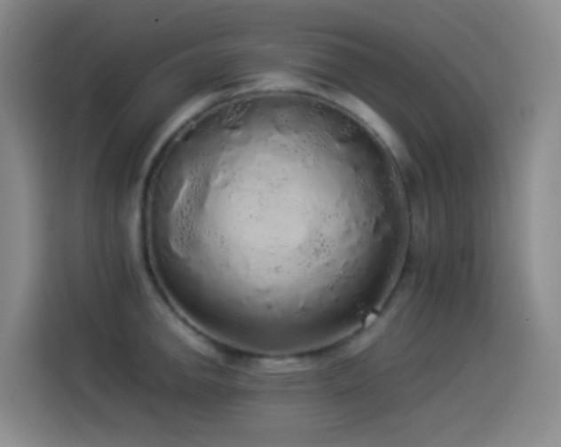 X0000114541142200910191336