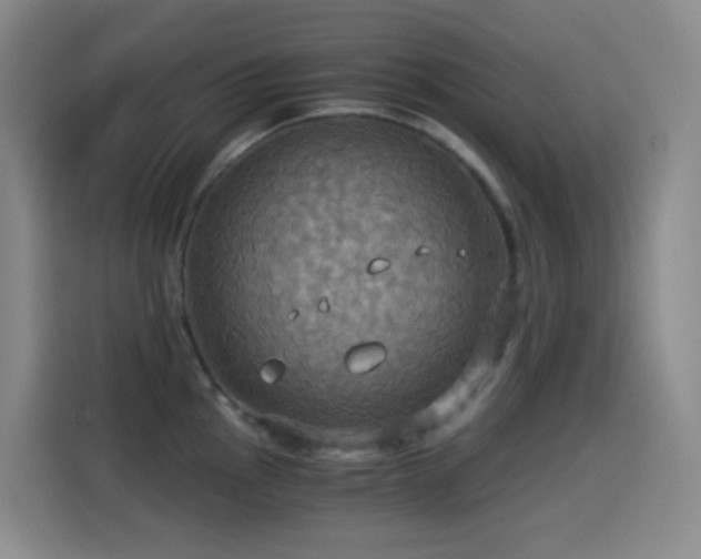 X0000114541145200910191337