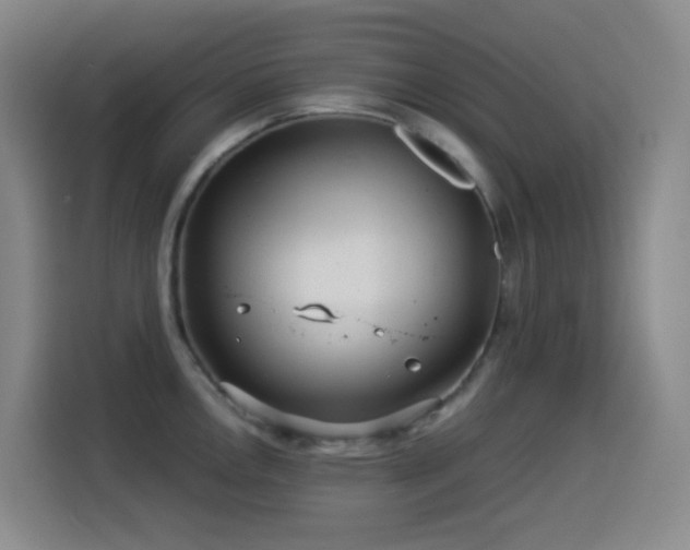 X0000114541146200910191337