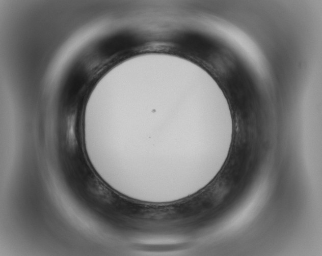 X0000114541150200910191337