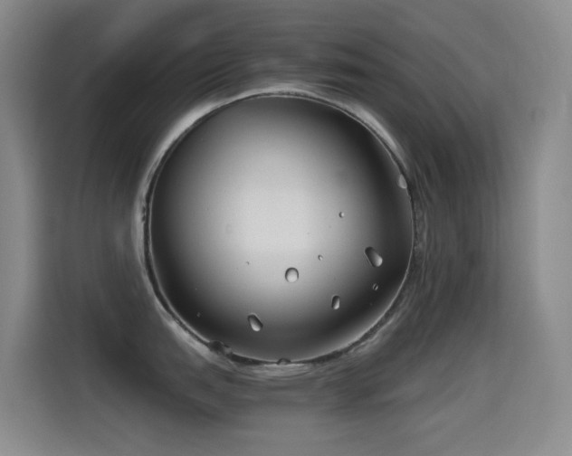 X0000114541151200910191337