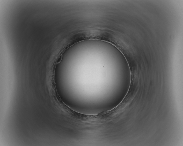 X0000114541153200910191336