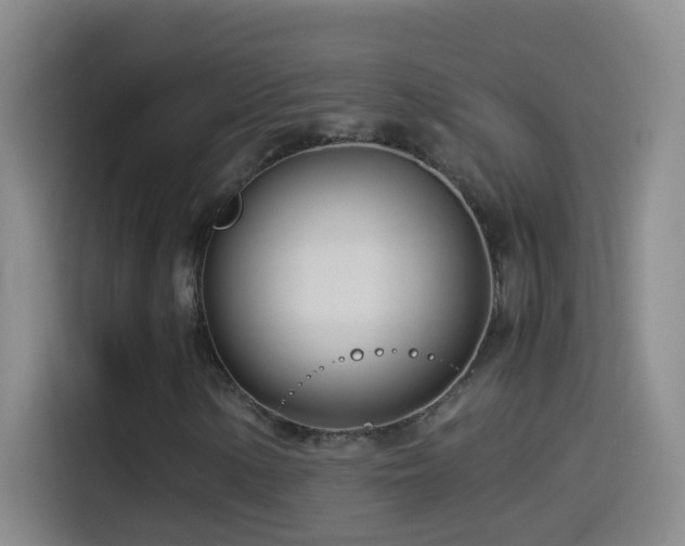 X0000114541154200910191336