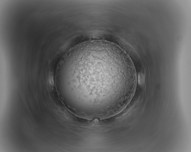 X0000114541155200910191336