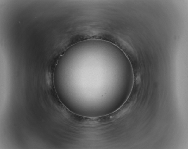 X0000114541156200910191336