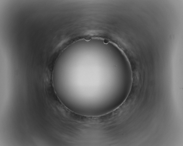 X0000114541158200910191336