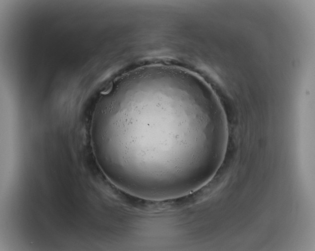 X0000114541159200910191336