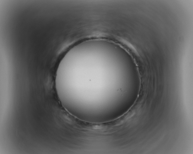 X0000114541160200910191336