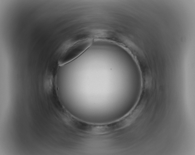 X0000114541161200910191336