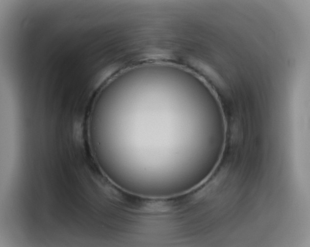 X0000114541162200910191336