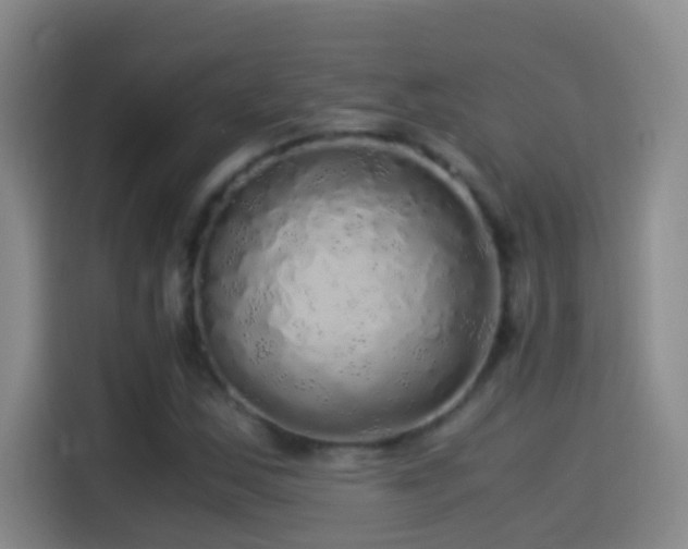 X0000114541163200910191336