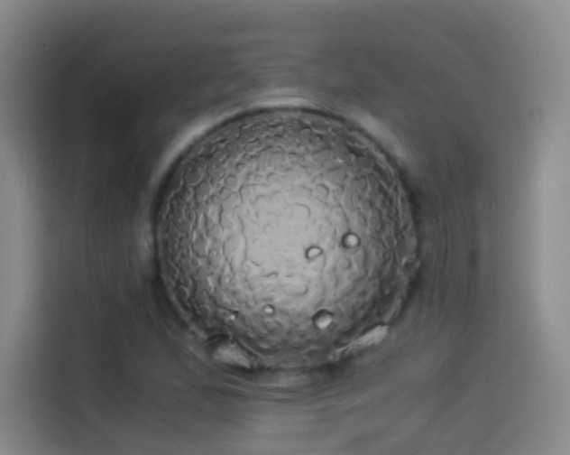 X0000114541167200910191336