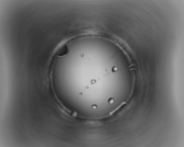 X0000114541168200910191336