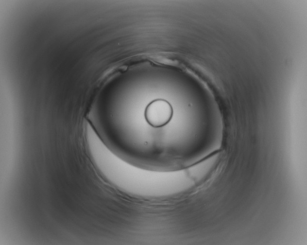 X0000114541169200910191336