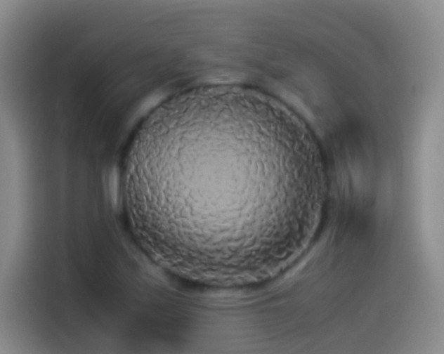 X0000114541171200910191336