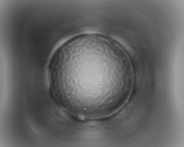 X0000114541175200910191336