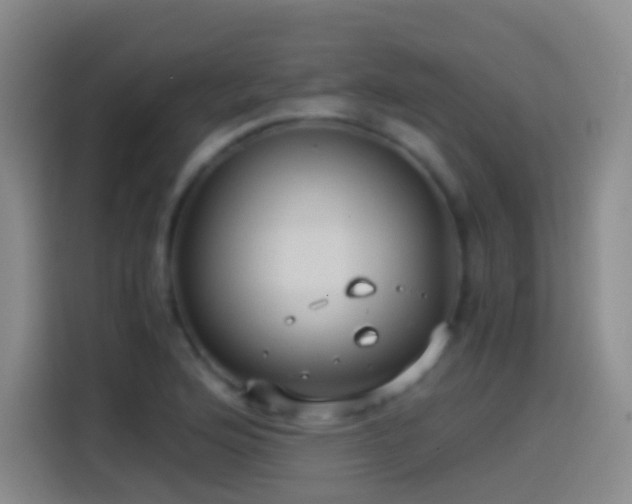 X0000114541176200910191336