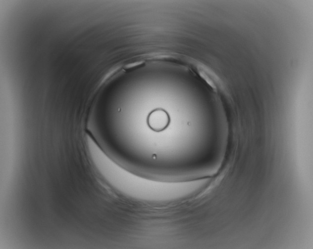 X0000114541177200910191336