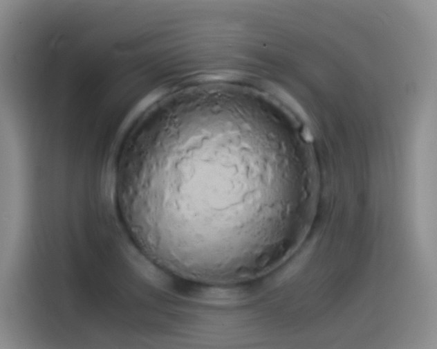 X0000114541179200910191336