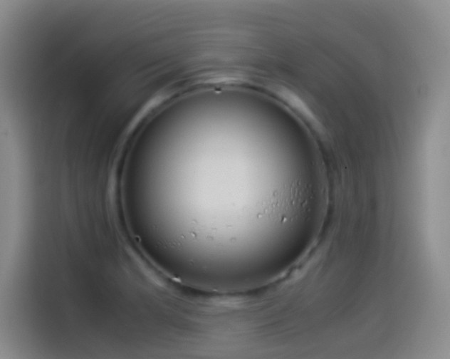 X0000114541181200910191336