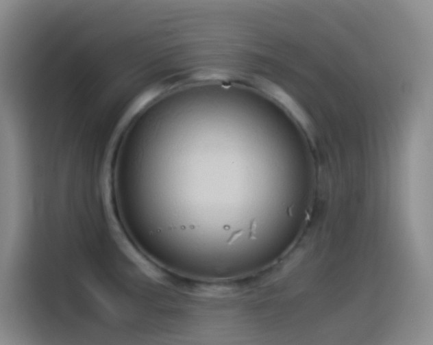 X0000114541187200910191336