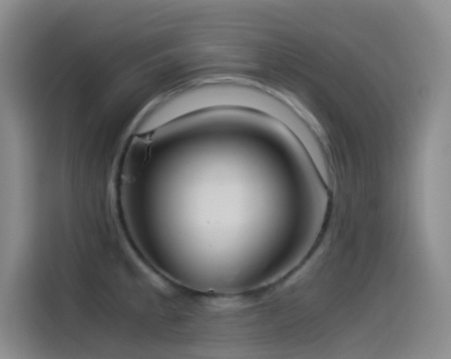 X0000114541189200910191336