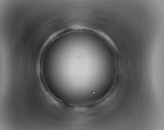 X0000114541191200910191336