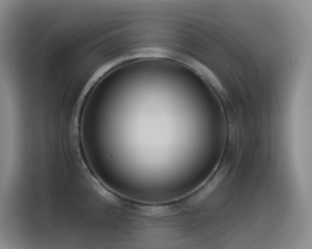 X0000114541192200910191335